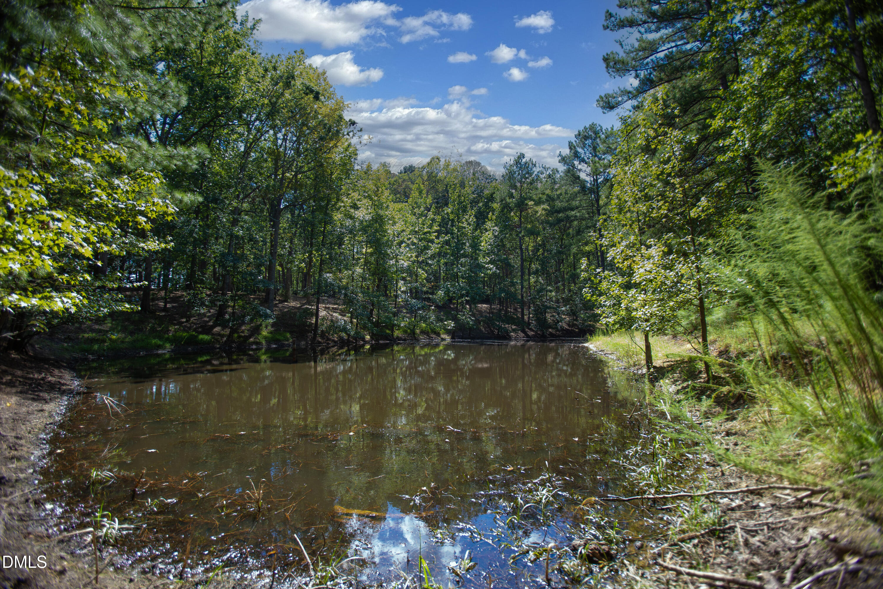 1716 Brassfield Road