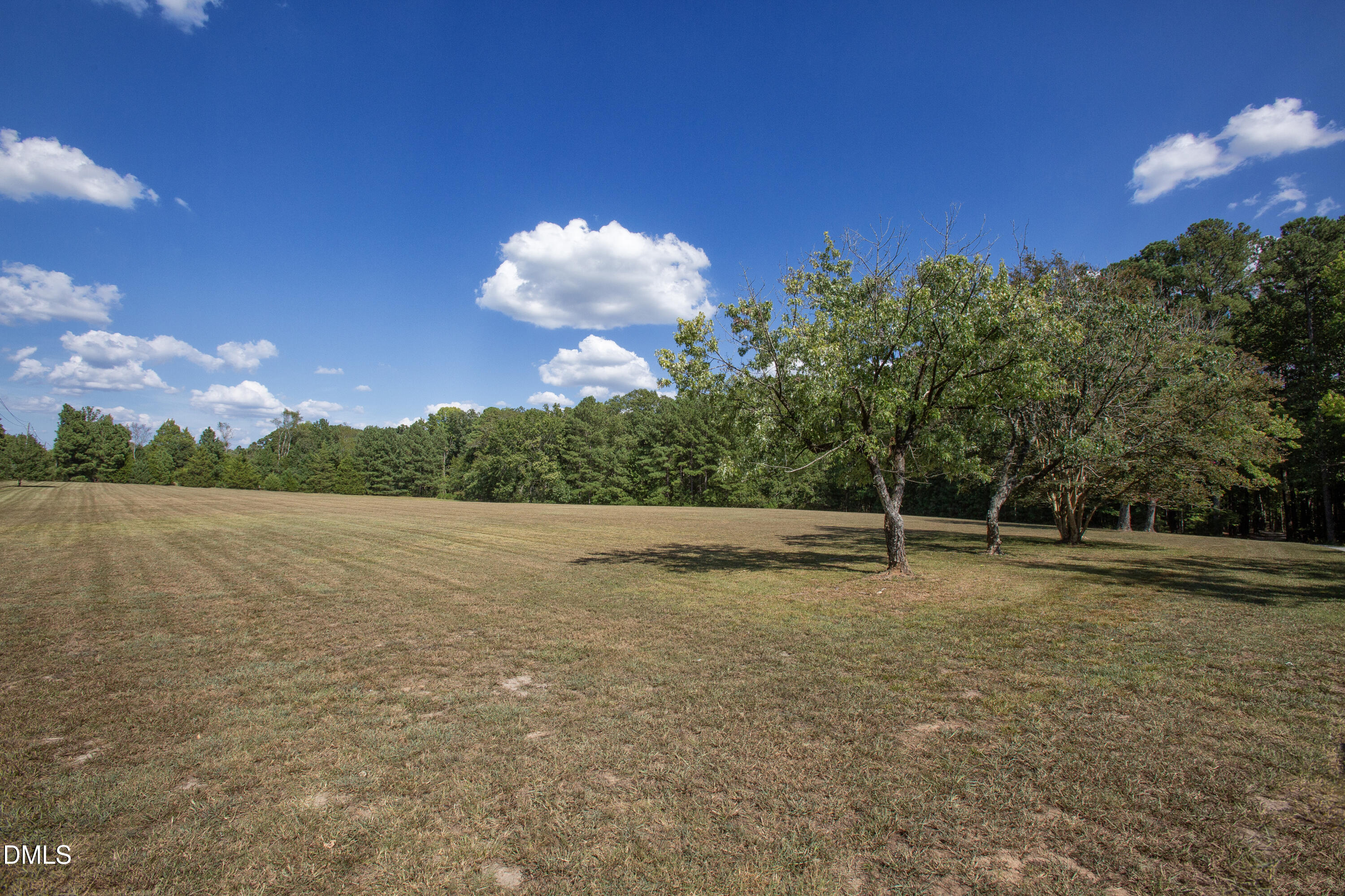 1716 Brassfield Road