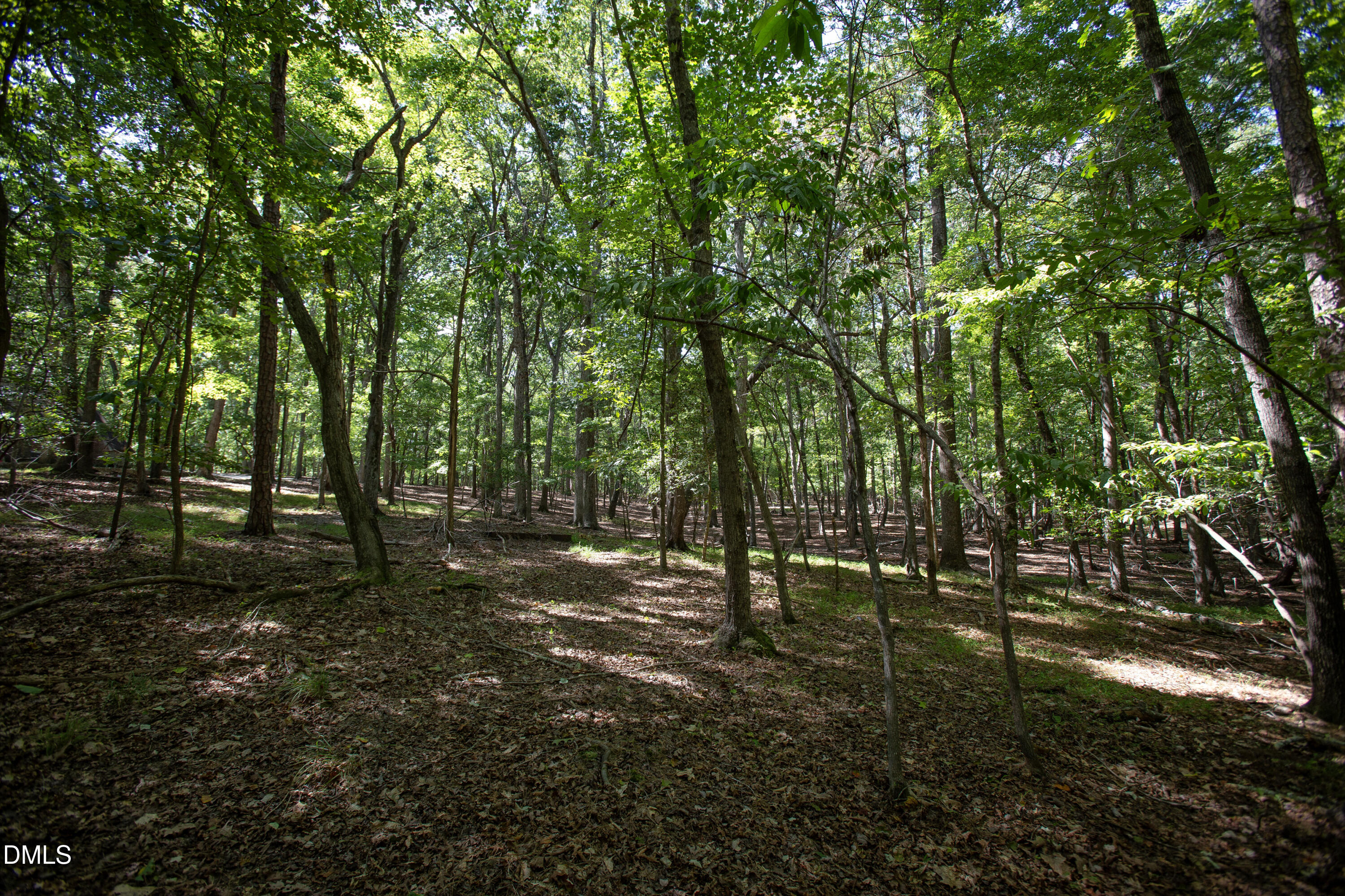 1716 Brassfield Road