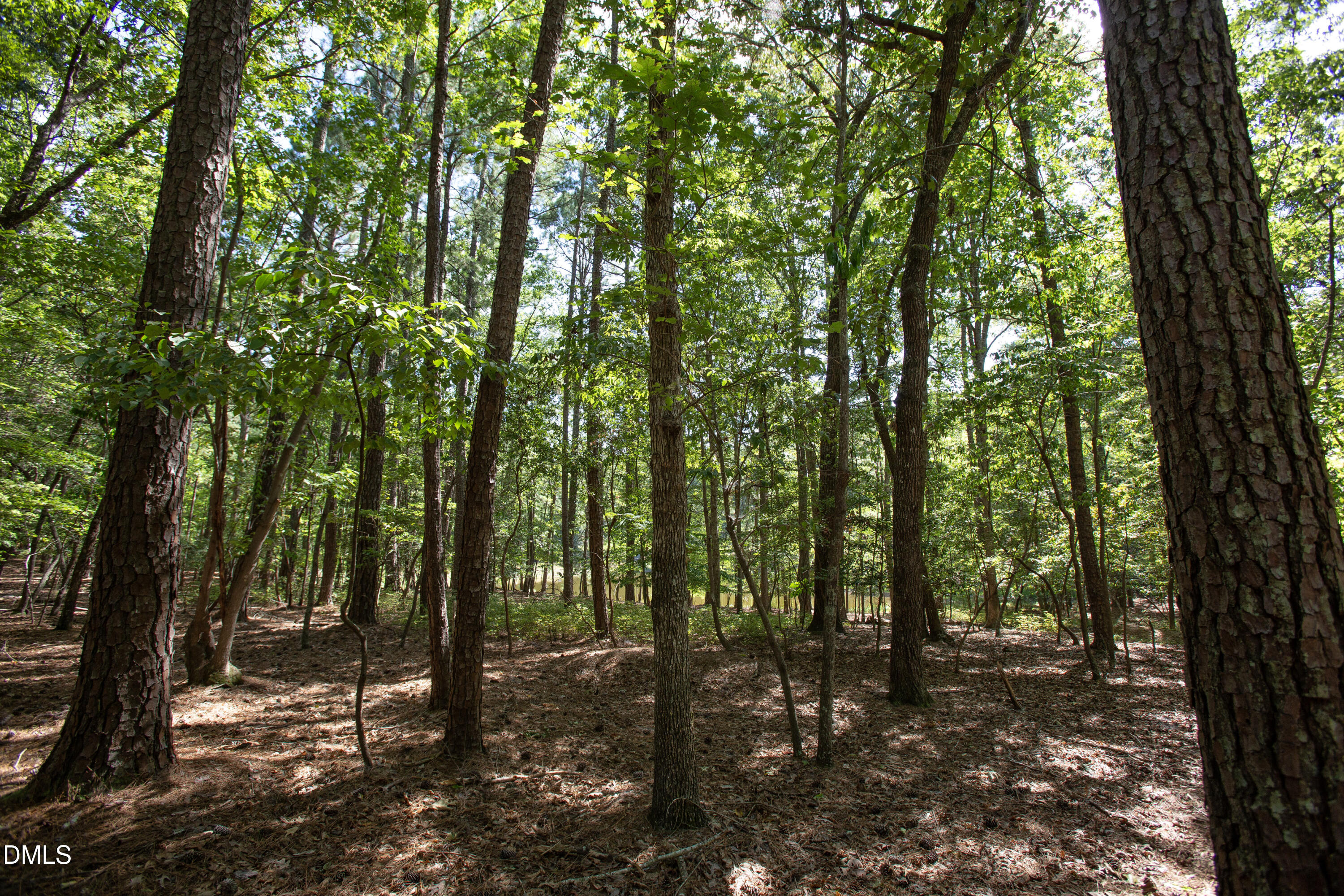 1716 Brassfield Road