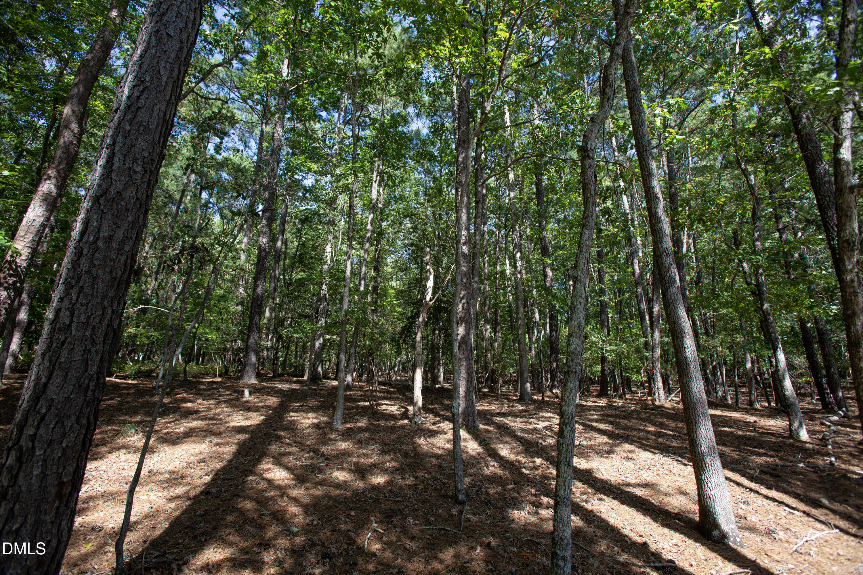 1716 Brassfield Road