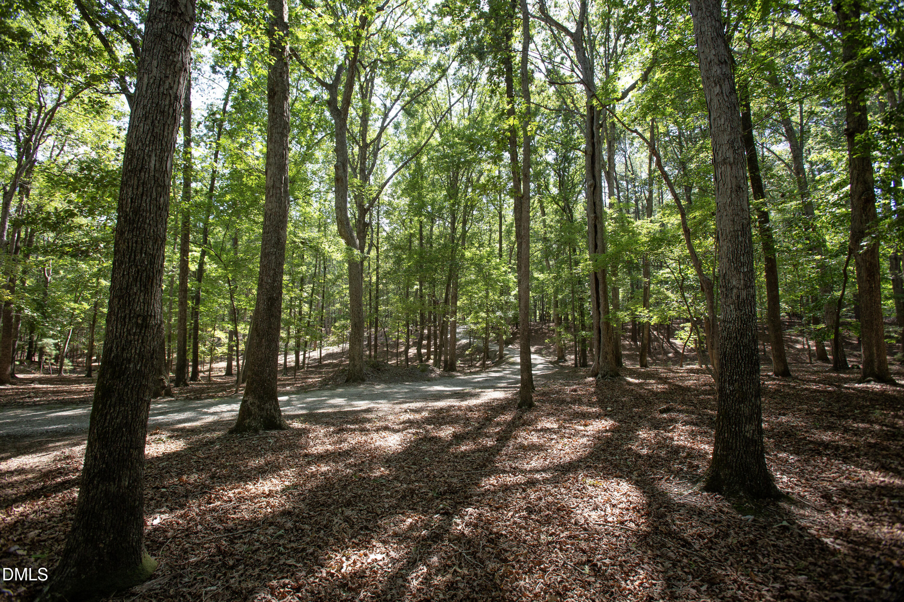 1716 Brassfield Road