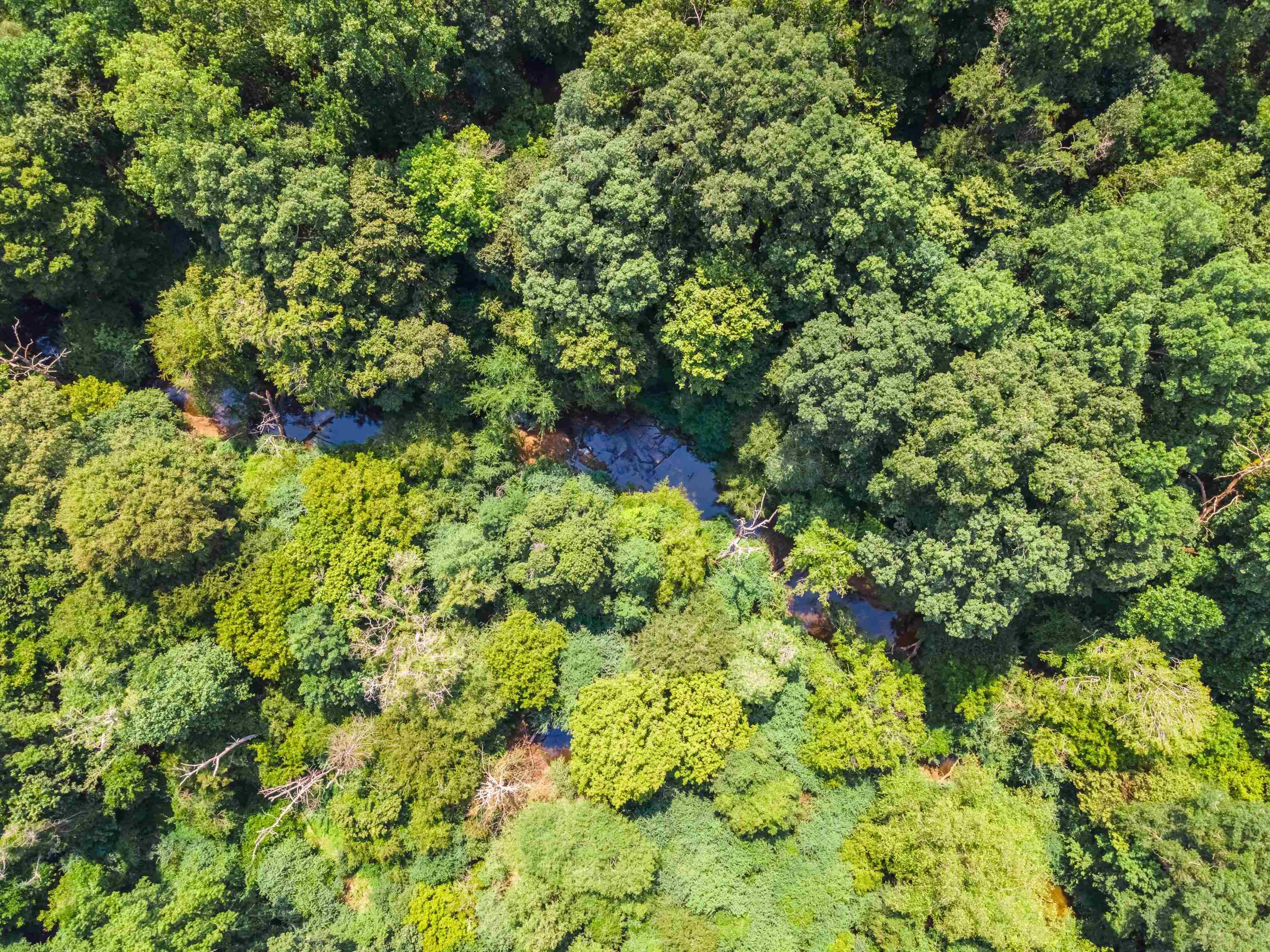 5408 Rockholly Court