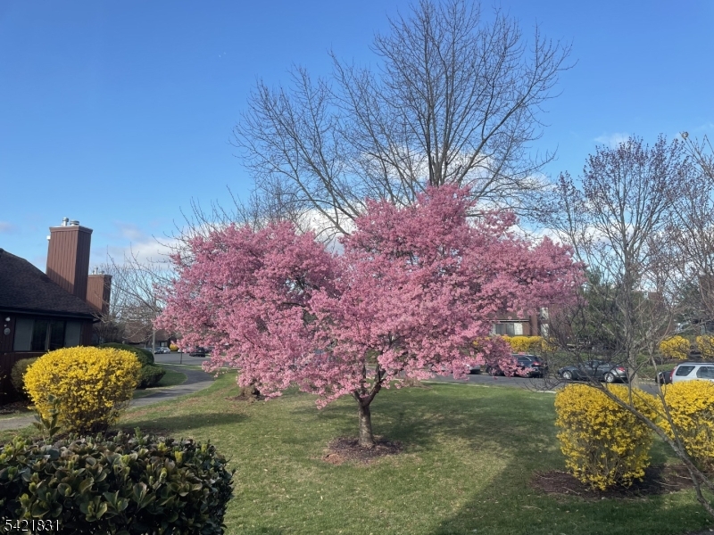 25 Bloomingdale Dr 2C