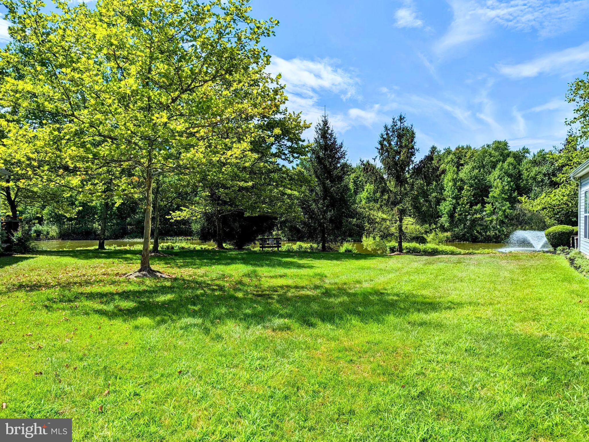 169 TUNICFLOWER LN