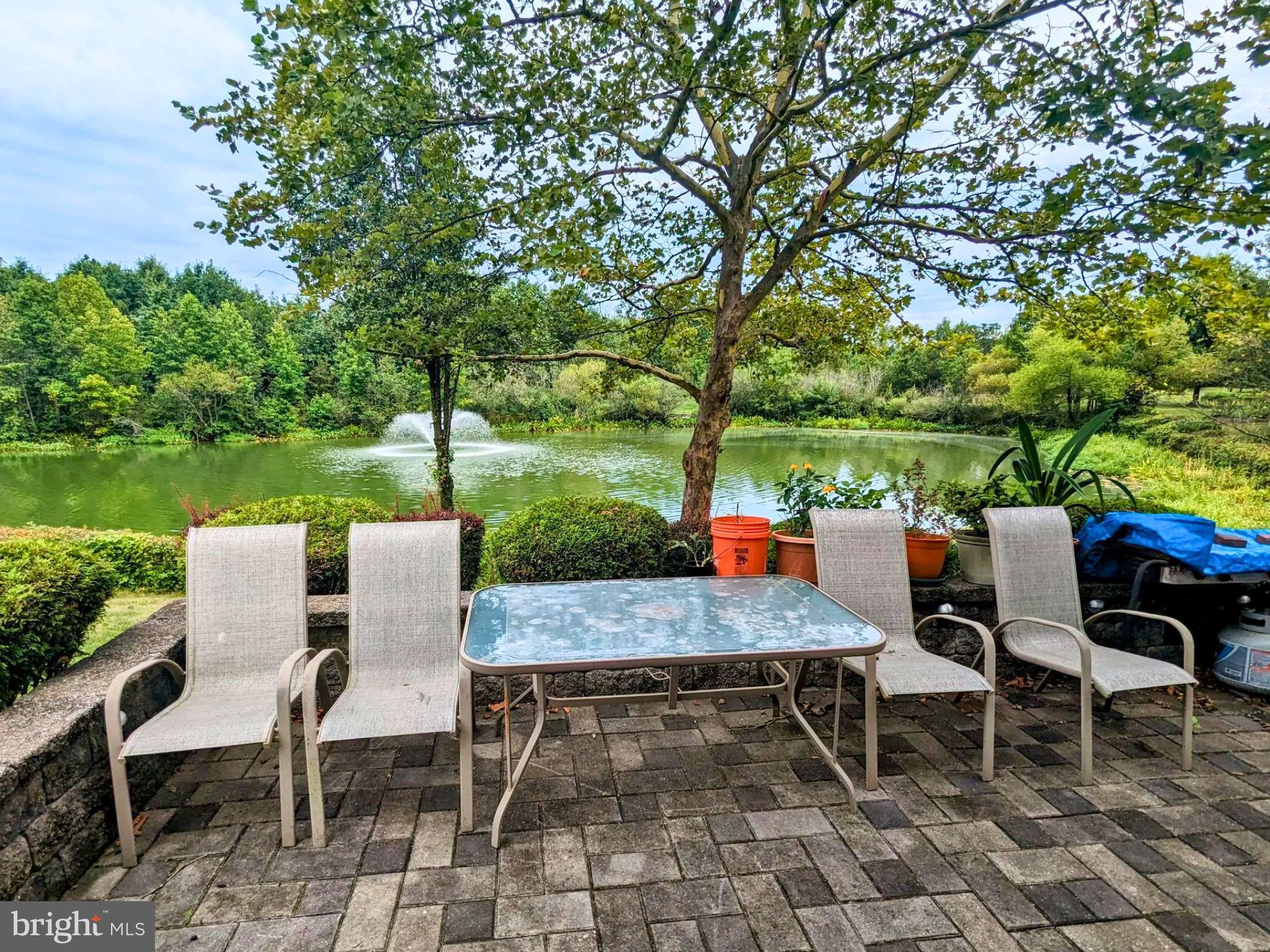 169 TUNICFLOWER LN