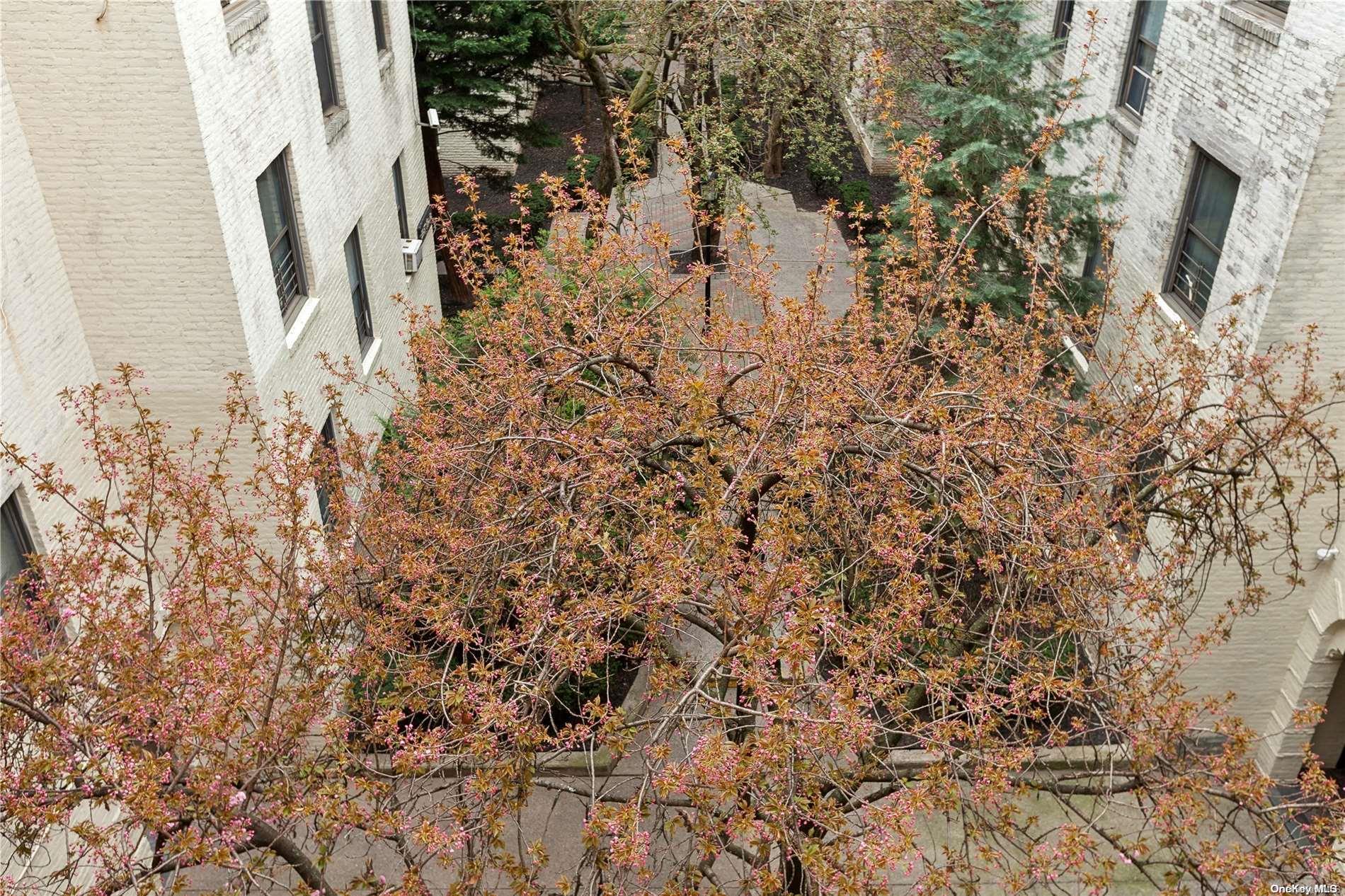 21-57 33rd Street Unit: 4D