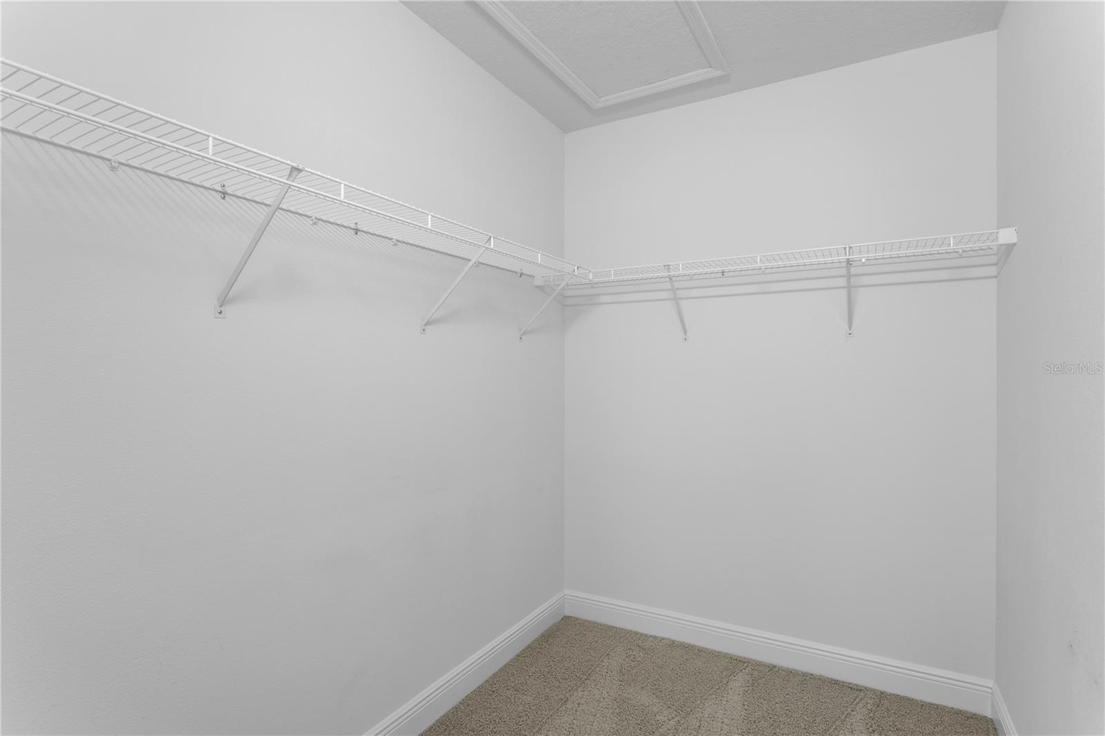 19303 WATER MAPLE DR