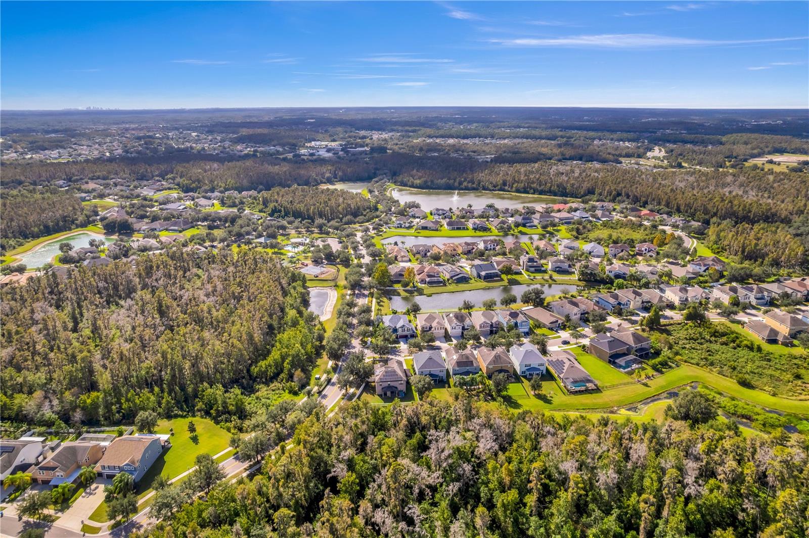 19303 WATER MAPLE DR