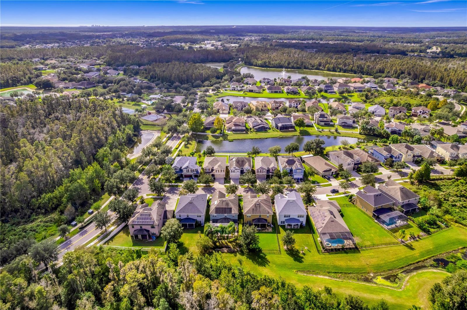 19303 WATER MAPLE DR