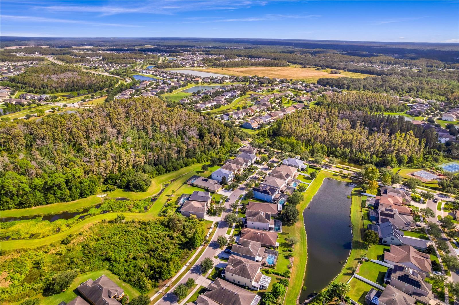 19303 WATER MAPLE DR