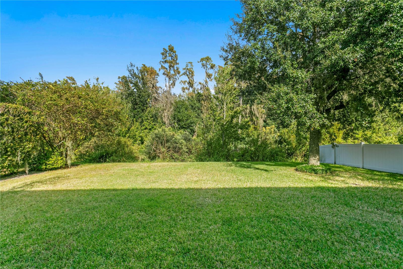 19303 WATER MAPLE DR