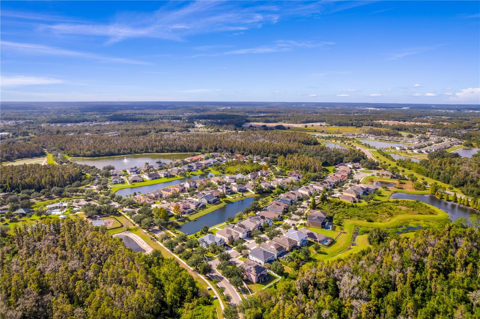 19303 WATER MAPLE DR