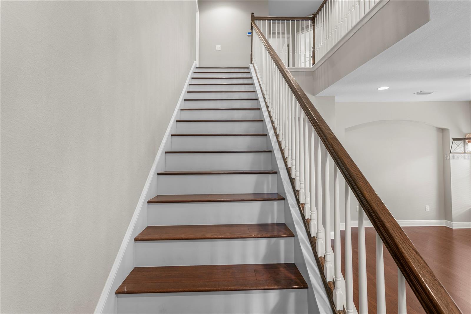 19303 WATER MAPLE DR