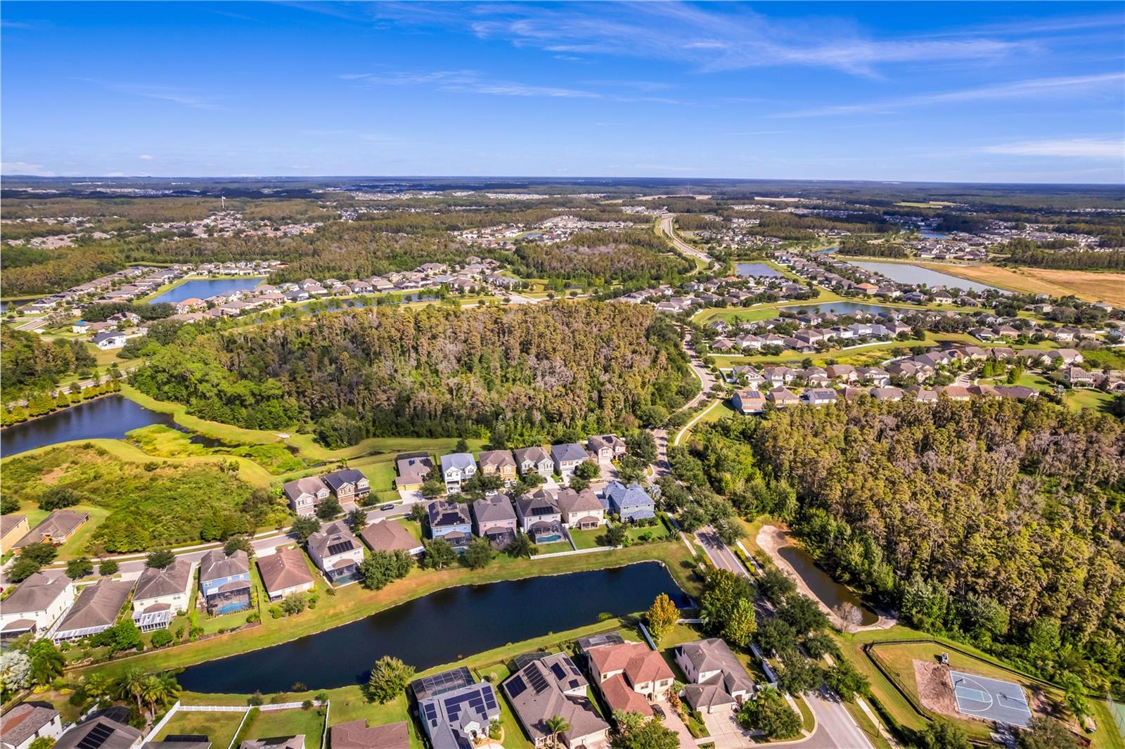 19303 WATER MAPLE DR