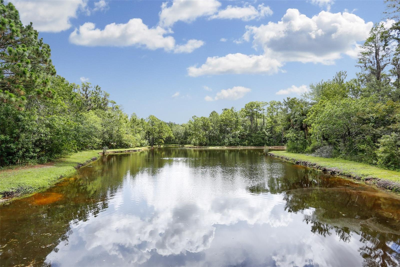 10121 KINGSBRIDGE AVE