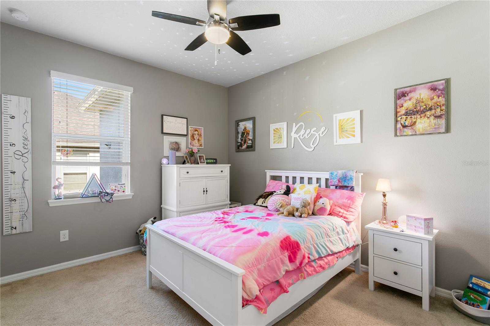 11412 LAKE LUCAYA DR