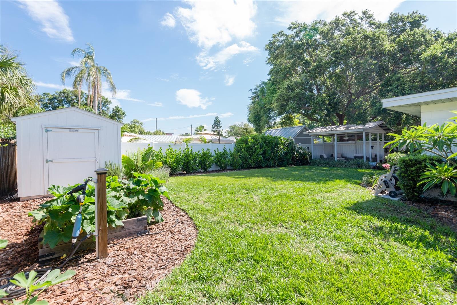 Backyard with a broad lawn, white storage shed, raised garden beds, and covered patio.
