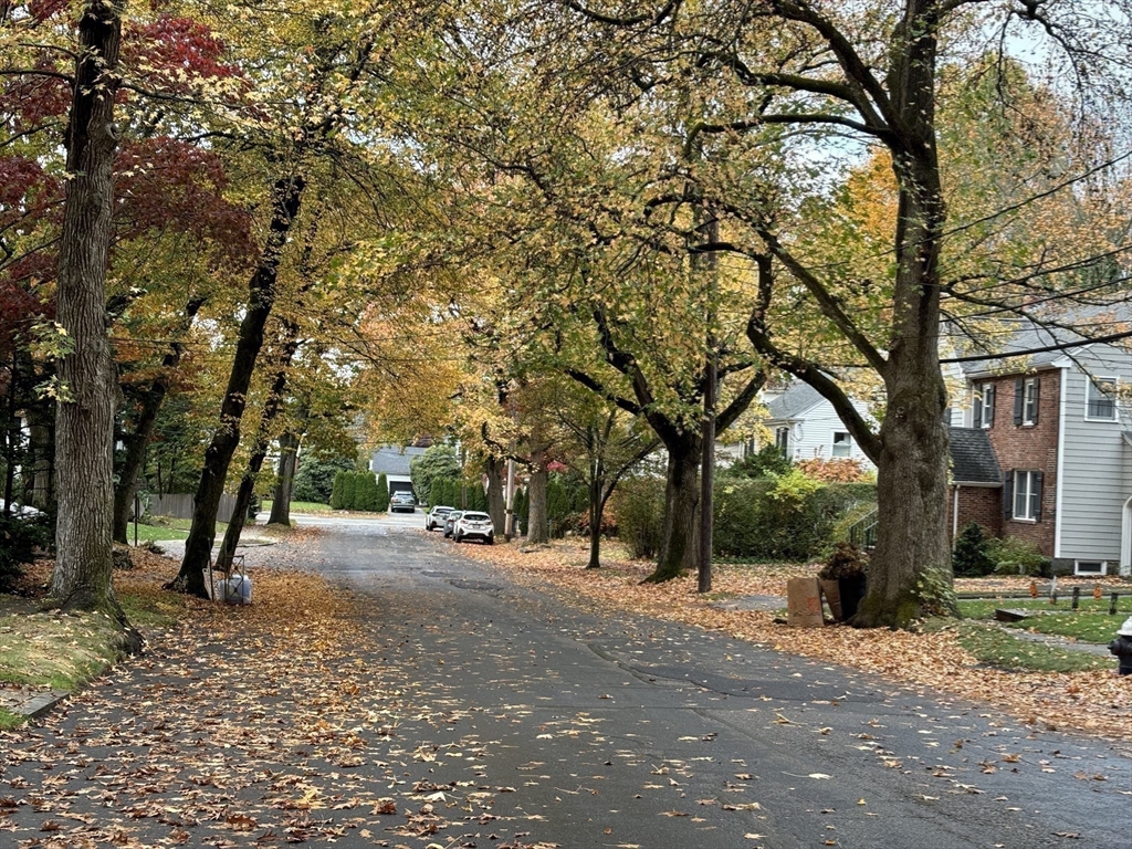 27 Ogden Road