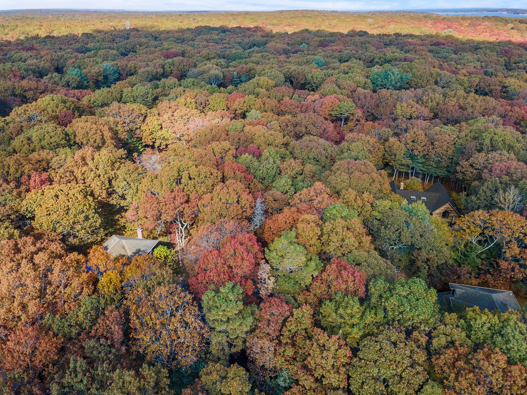 38 Wooded Oak Lane Wooded Oak