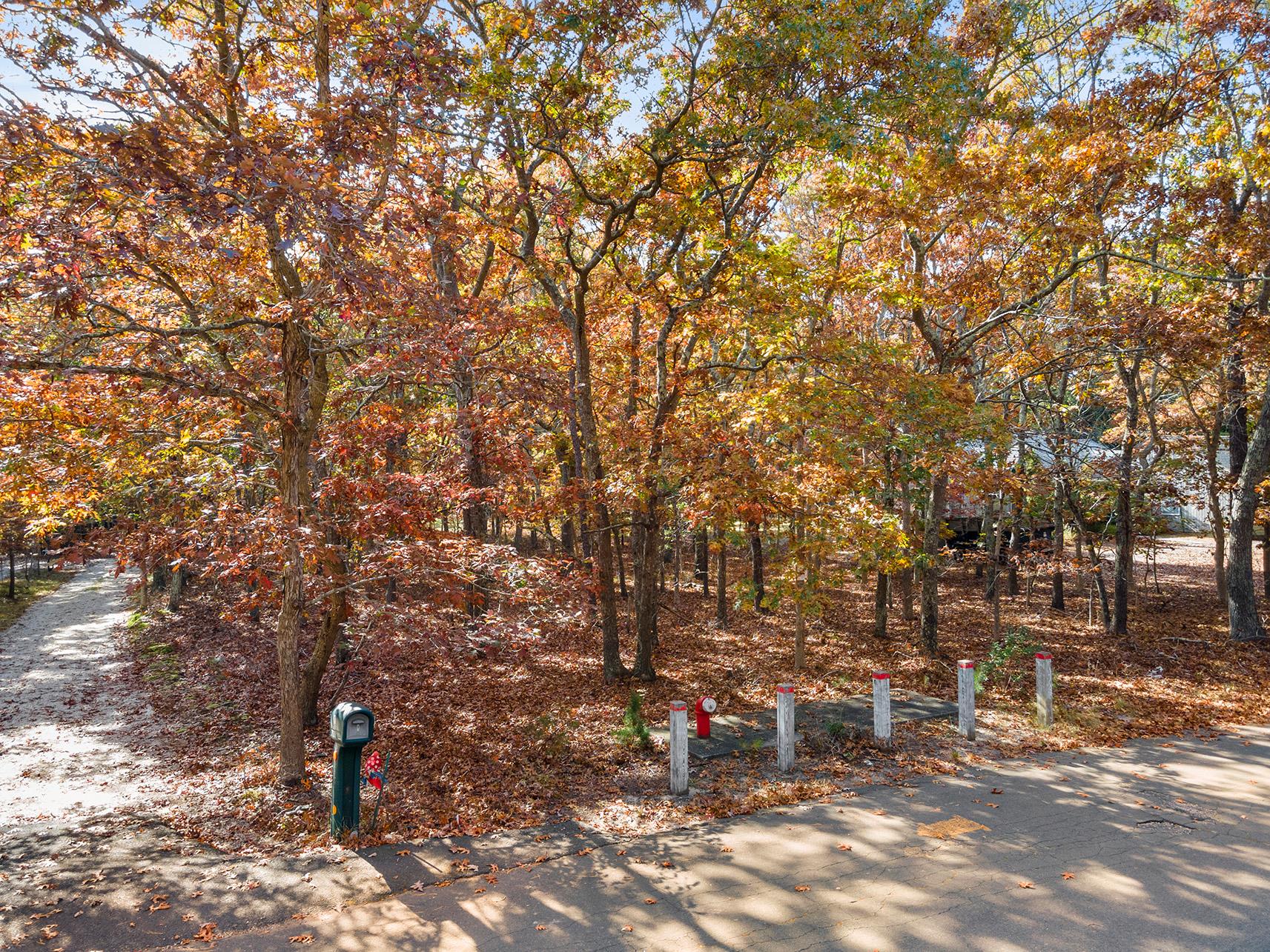 38 Wooded Oak Lane Wooded Oak