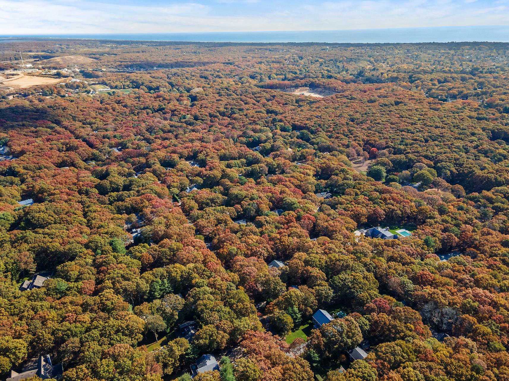 38 Wooded Oak Lane Wooded Oak