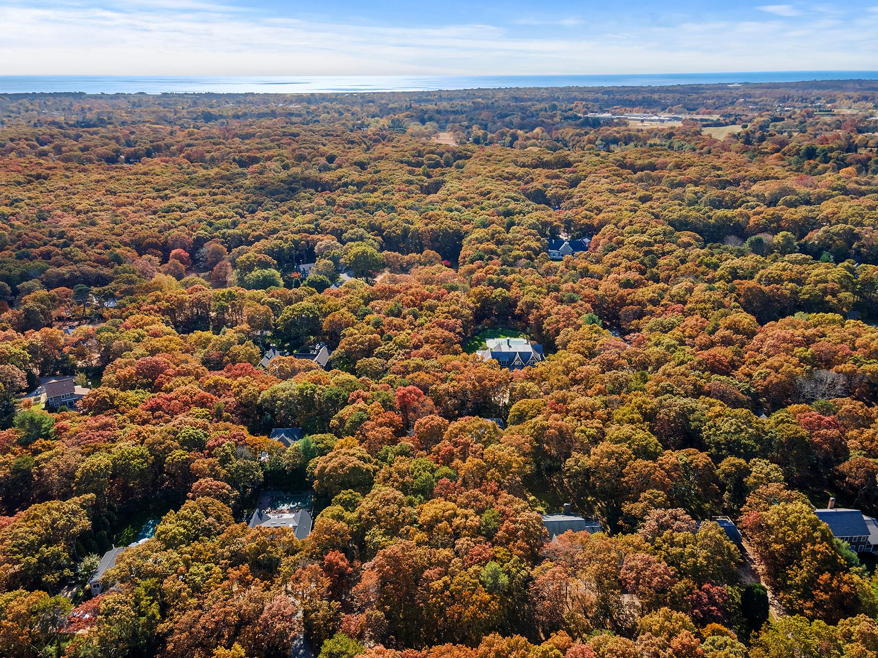 38 Wooded Oak Lane Wooded Oak