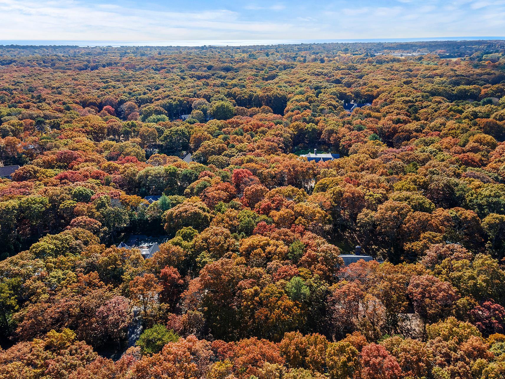 38 Wooded Oak Lane Wooded Oak