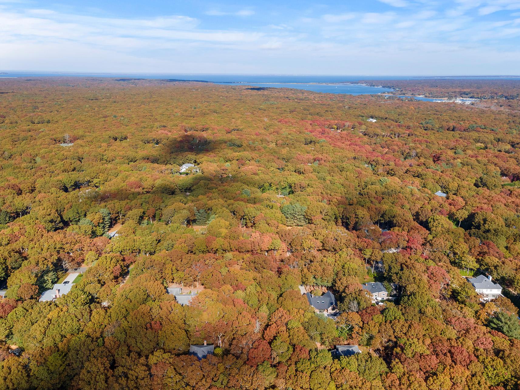 38 Wooded Oak Lane Wooded Oak