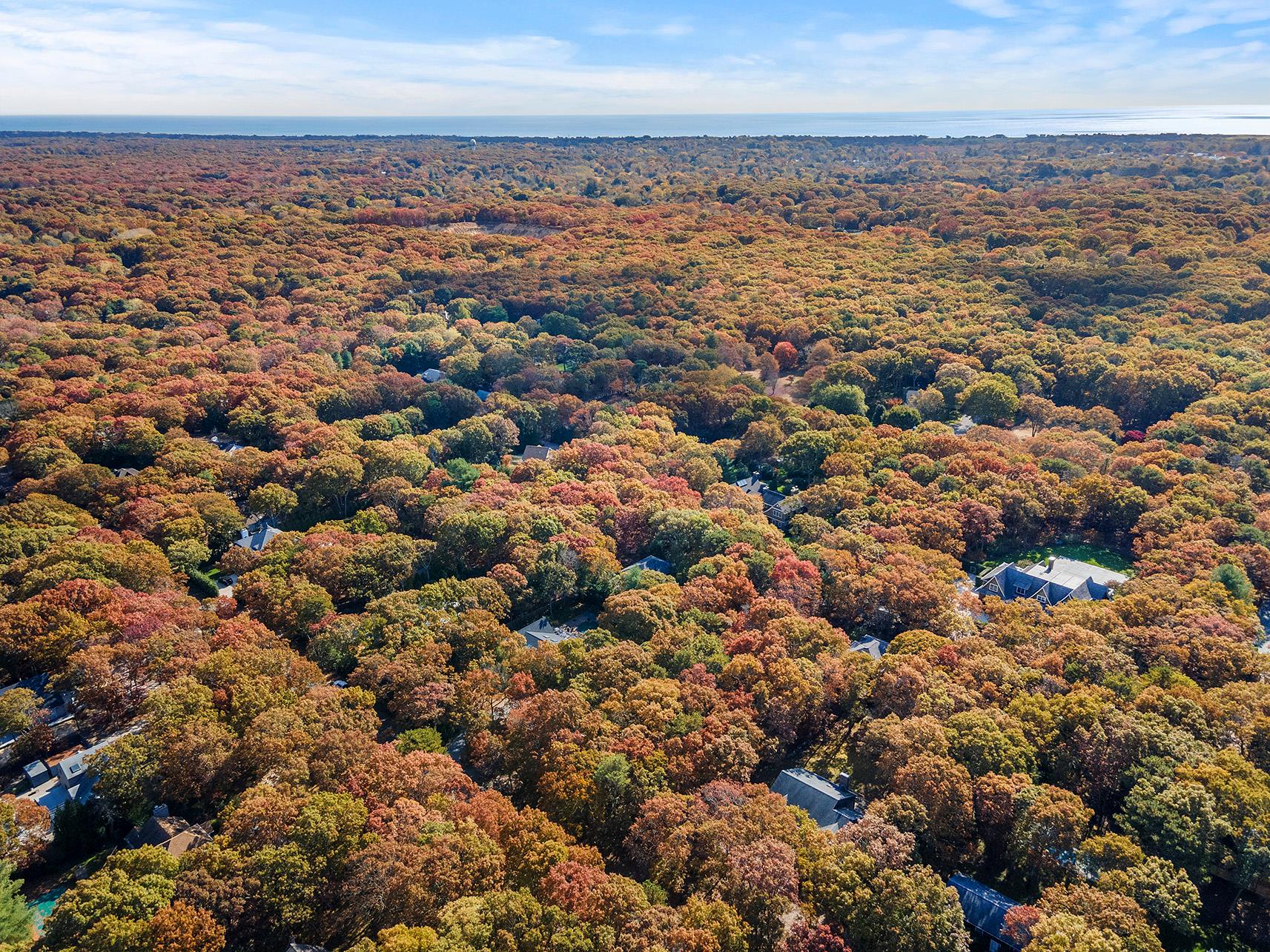 38 Wooded Oak Lane Wooded Oak