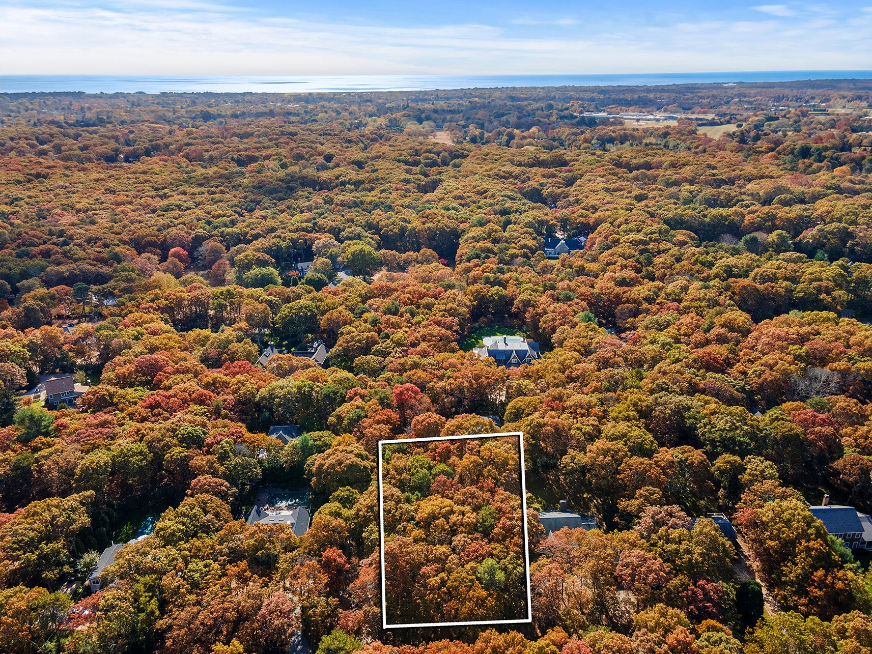 38 Wooded Oak Lane Wooded Oak