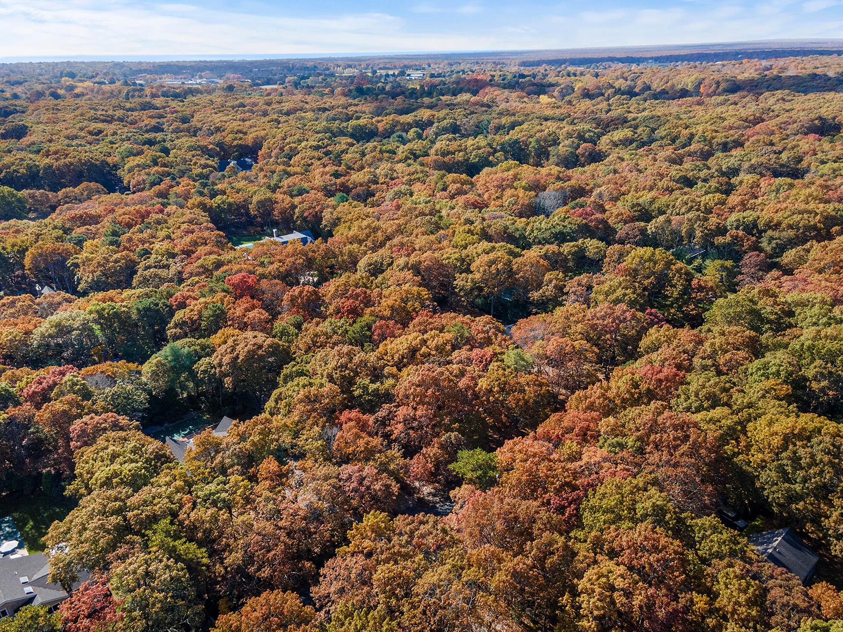 38 Wooded Oak Lane Wooded Oak