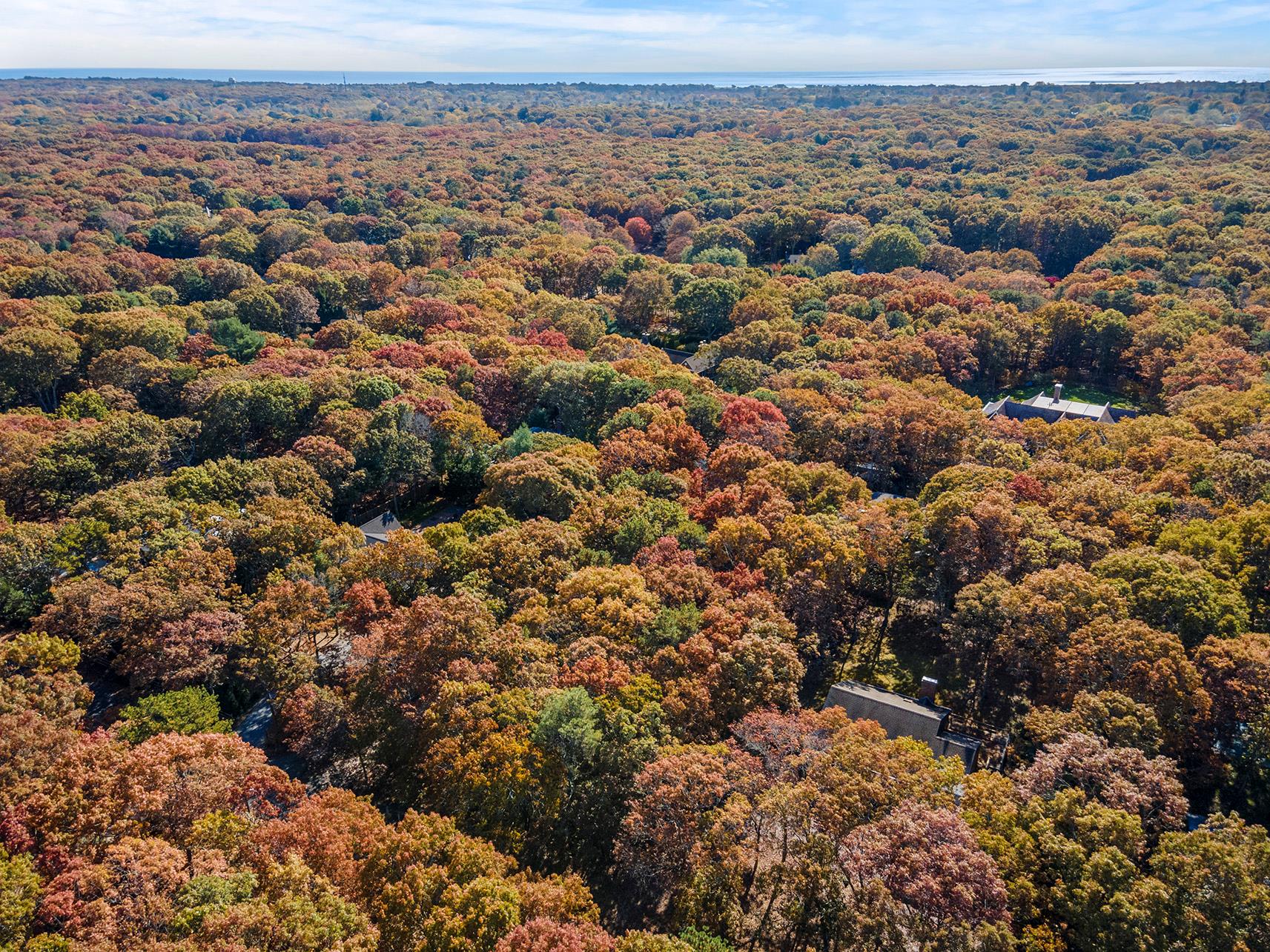 38 Wooded Oak Lane Wooded Oak