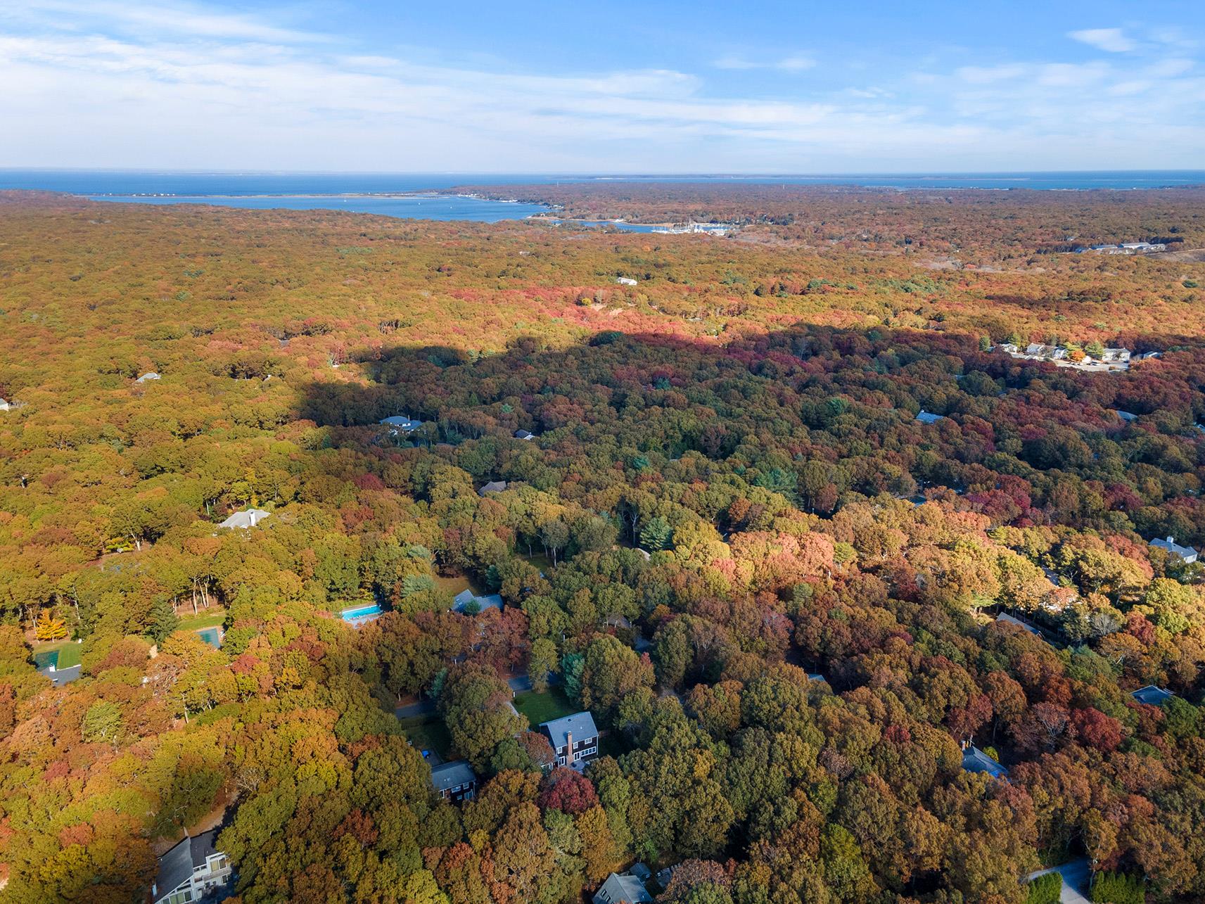 38 Wooded Oak Lane Wooded Oak