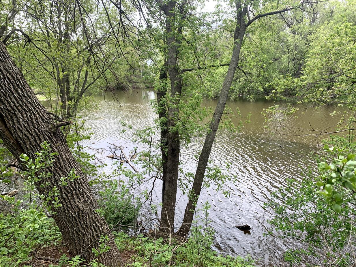 1332 GOLDENWOOD Drive