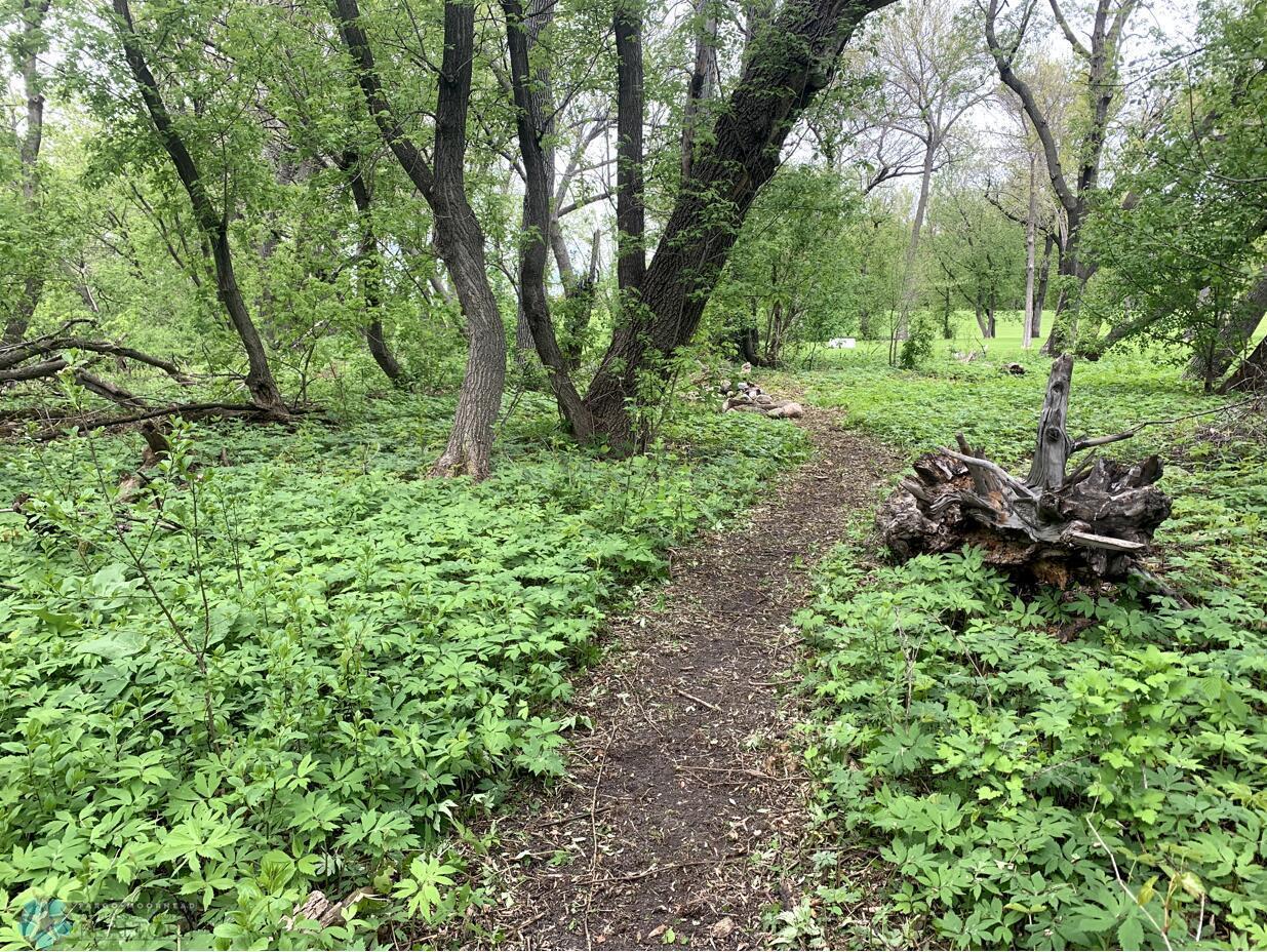 1332 GOLDENWOOD Drive