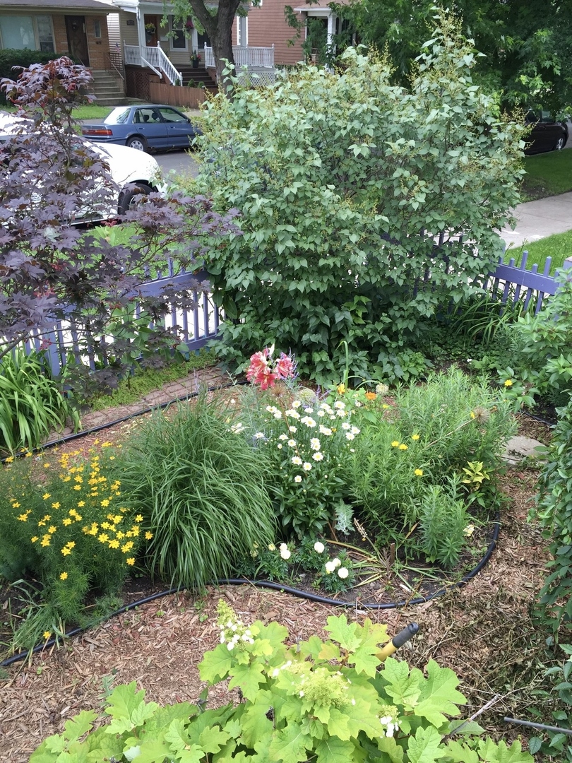 4338 N RIDGEWAY Avenue