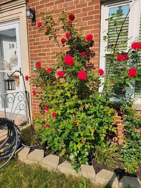 1813 W Norwood Street Unit: 1