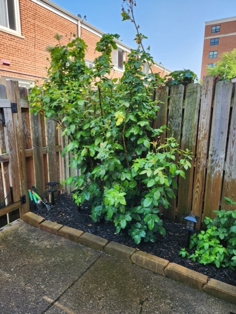 1813 W Norwood Street Unit: 1