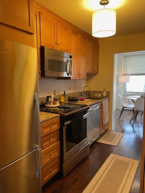 336 W Wellington Avenue Unit: 2302