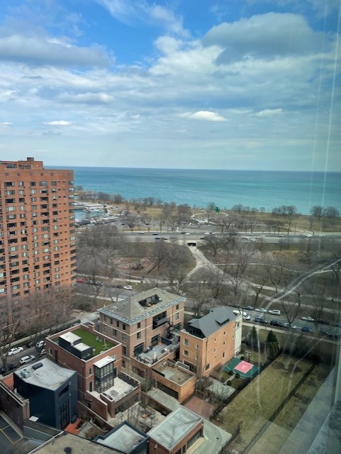 336 W Wellington Avenue Unit: 2302