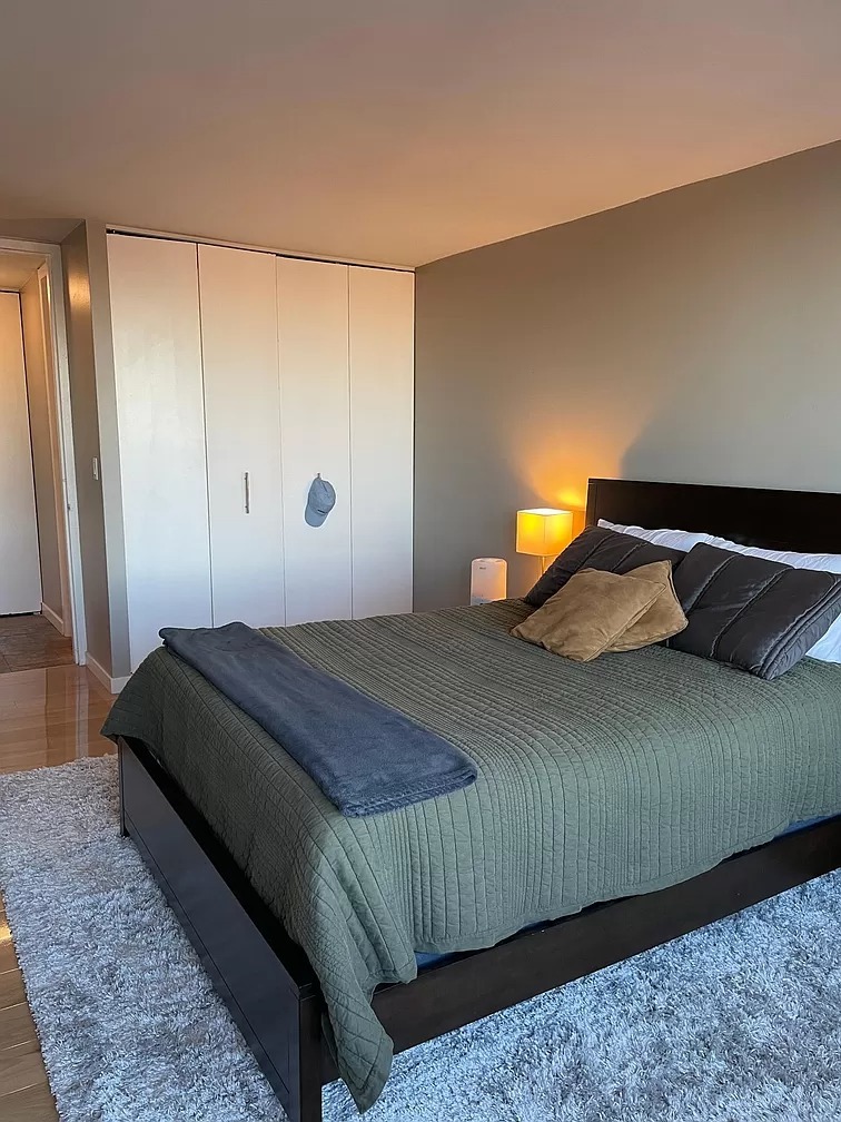 655 W Irving Park Road Unit: 2406