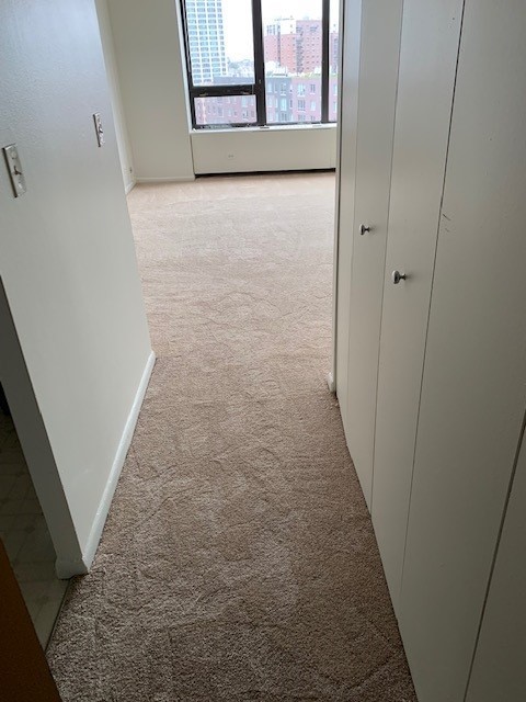 3930 N PINE GROVE Avenue Unit: 1408