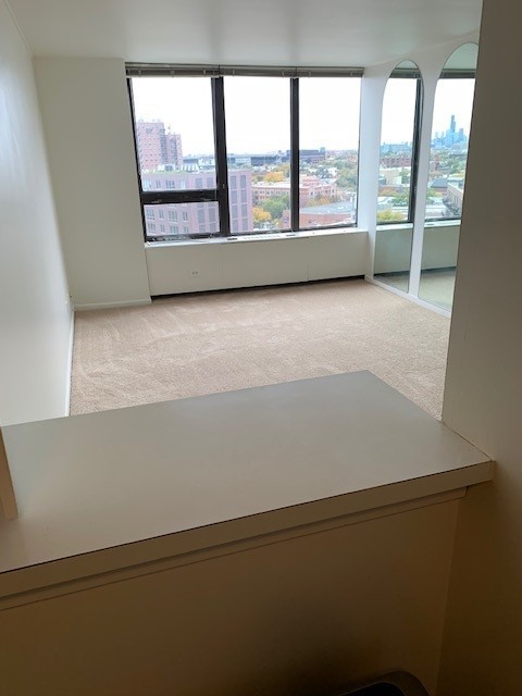 3930 N PINE GROVE Avenue Unit: 1408