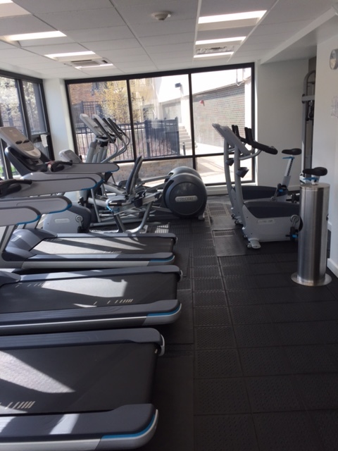 3930 N PINE GROVE Avenue Unit: 1408