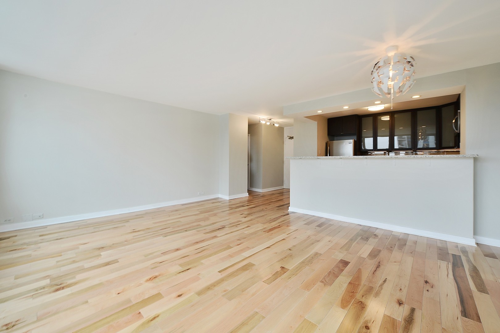1255 N Sandburg Terrace Unit: 507