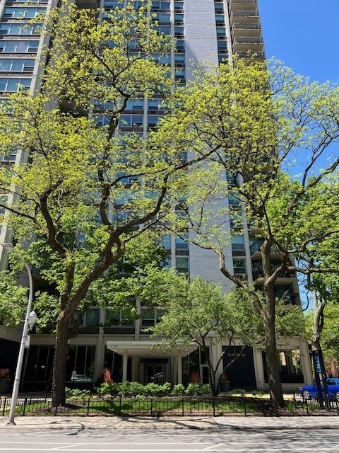 1255 N Sandburg Terrace Unit: 507