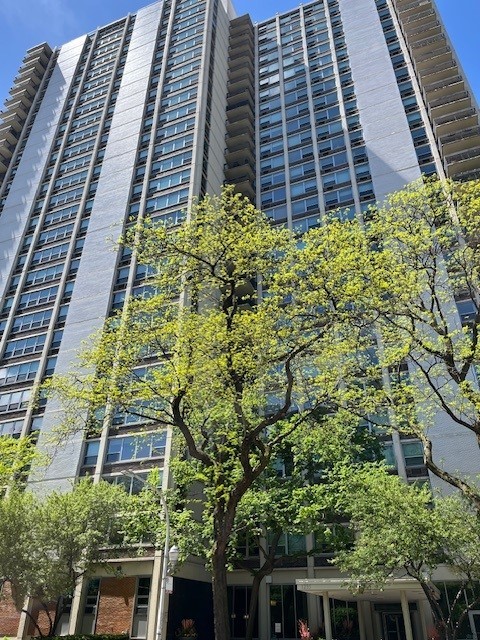 1255 N Sandburg Terrace Unit: 507