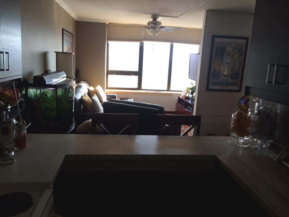 3930 N Pine Grove Avenue Unit: 2602