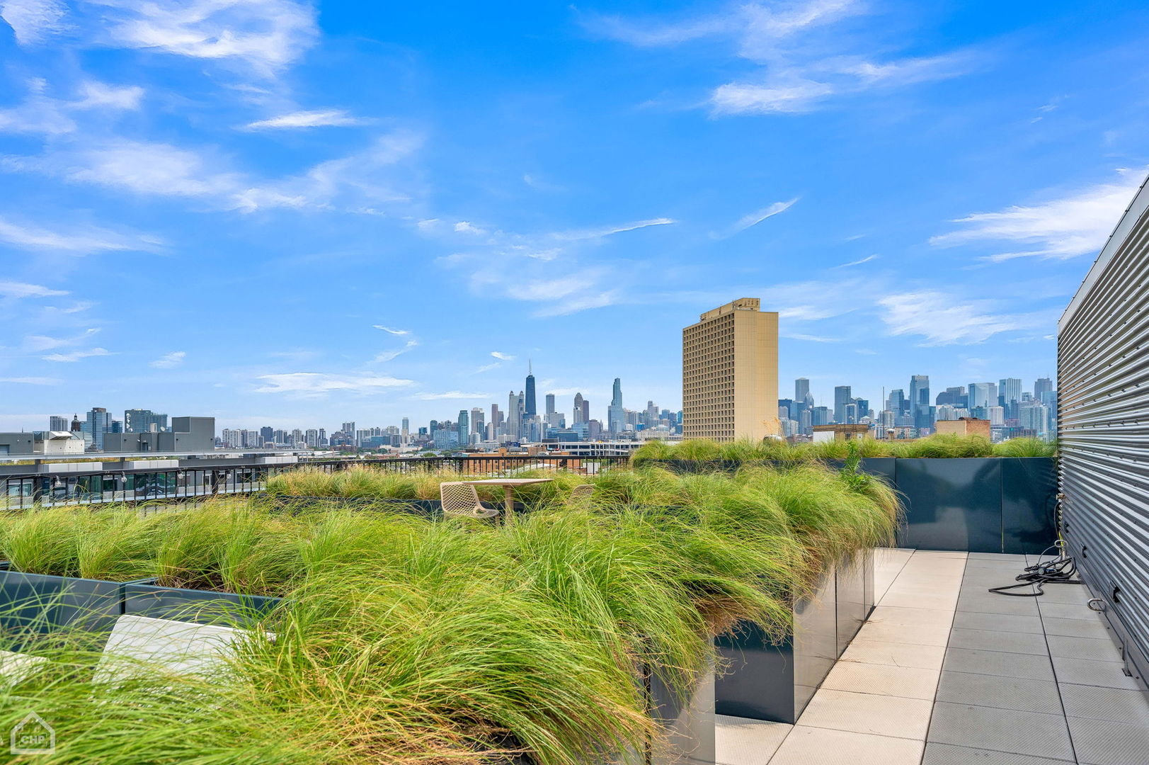 Rooftop terrace with ornamental grass planters and a wide view of the Chicago skyline.